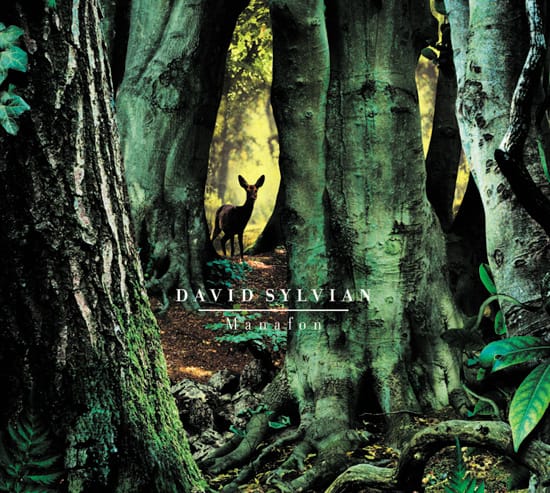 david_sylvian_manafon
